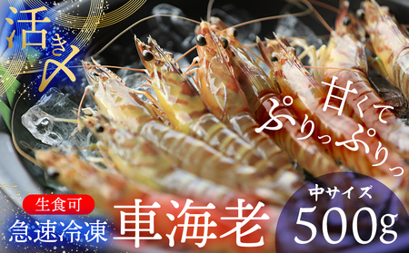 車海老【久米総合開発】活き〆急速冷凍 久米島ブランド車海老 中サイズ 500g 車えび 海鮮