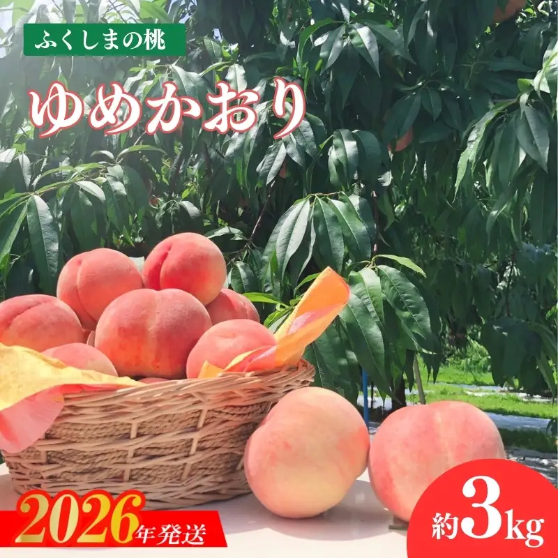 No.2578香り高いもも 硬くて甘い/ゆめかおり 約3kg【2026年発送　先行受付】