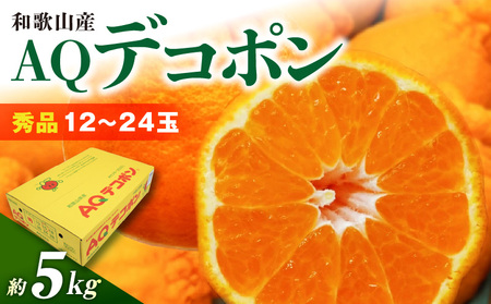 DN6012n_【2027年先行予約】和歌山県産 AQ デコポン 5kg 秀品 (12～24玉)