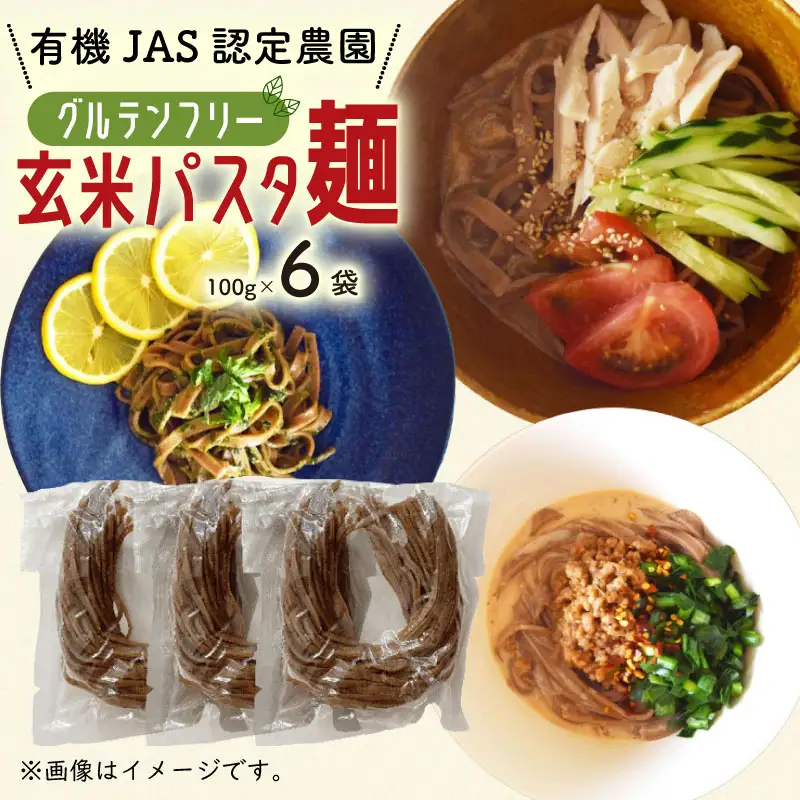 有機グアバ農園のグルテンフリー玄米パスタ麺 100g×6袋セット【グルテン フリー ダイエット 健康 食品  人気 おすすめ 高知県 南国市】