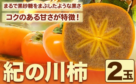 紀の川柿 2玉入 約500g ときわオンライン《2026年10月上旬-12月中旬頃出荷》和歌山県 紀の川市 平核無柿 ひらたねなしがき
