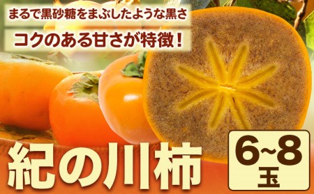 【先行予約】紀の川柿 6-8玉入 約1.8kg