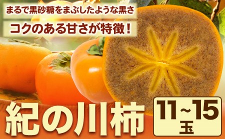 紀の川 柿 11-15玉入 約4kg