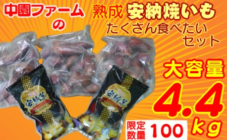 種子島 冷凍 安納焼いも 中園ファーム ＜ 大容量 業務 サイズ ＋ ギフト サイズ＞ 計4.4ｋｇ　NFN181 【375pt】