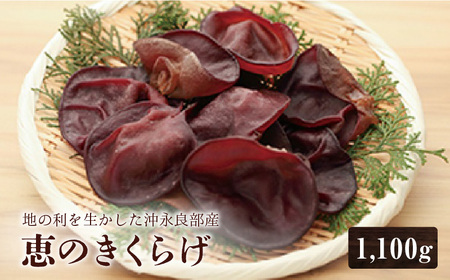 ■地の利を生かした沖永良部産 恵の 生きくらげ W012-001 惣菜 キノコ