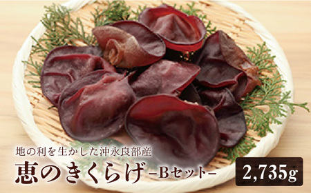 地の利を生かした 沖永良部産 恵の きくらげ Bセット W012-003u 惣菜 冷凍 キノコ