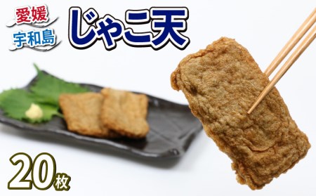 じゃこ天 20枚 詰合せ 森本蒲鉾店 蒲鉾 C012-046002