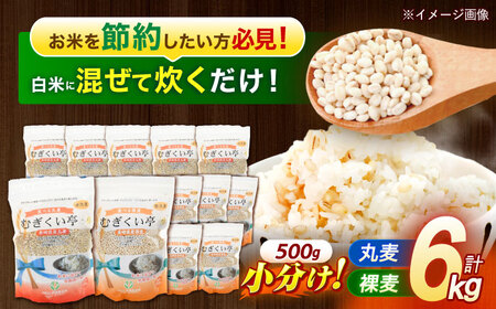 むぎくい亭(丸麦500g×6・裸麦500g×6) 計6kg / 麦 丸麦 はだか麦 裸麦 麦味噌 雑穀 雑穀米 食物繊維 長崎県産 米 こめ コメ ※ / 諫早市 / 有限会社伊東精麦 [AHBU002]