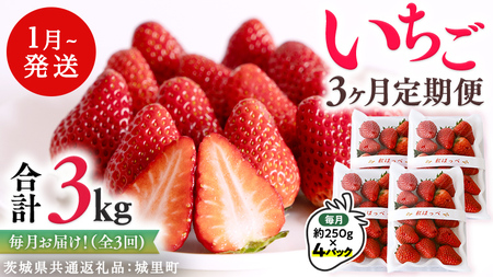 【 定期便 】 合計3kgお届け いちご の3ヶ月連続お届け便 （1回：250g×4パック）×3回 【2027年1月より発送開始】（茨城県共通返礼品 [いちご]：城里町産）