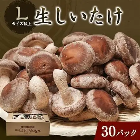 生しいたけ(パック)30P箱入り【配送不可地域：離島】【1288314】