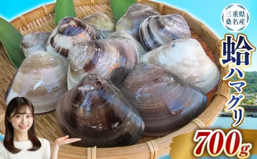 【指定日必須】 丸元水産 桑名産蛤（ハマグリ）0.7kg はまぐり ハマグリ 蛤 天然 活 砂抜き済 肉厚 BBQ キャンプ 網焼き 魚介 貝 魚貝 活はまぐり 焼きはま 海鮮 網焼き 酒蒸し お吸い物 パエリア パスタ 桑名 日にち指定【2025年9月下旬から2026年6月下旬発送予定】