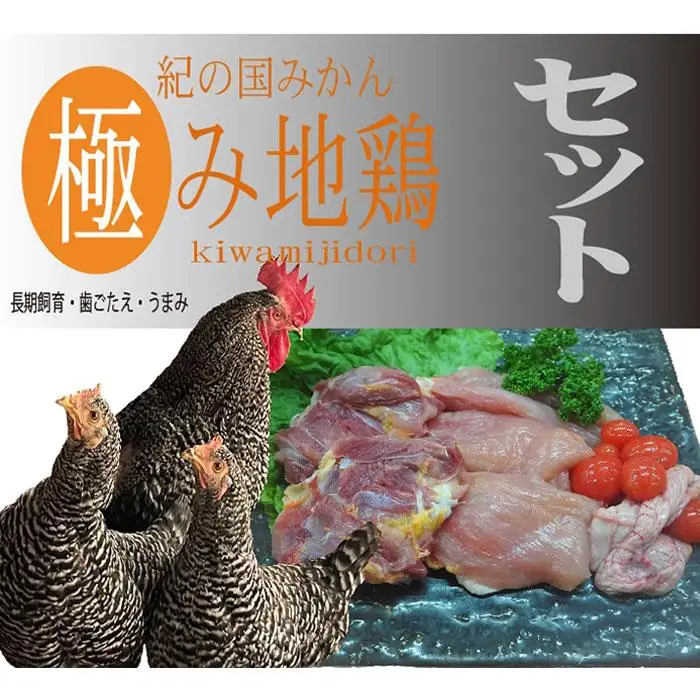 紀の国みかん極み地鶏セット