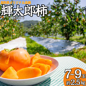 柿 2.5kg 輝太郎 きたろう 鳥取県 オリジナル | 21M