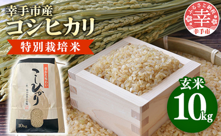 令和7年産】有機肥料100％ 埼玉県幸手市産特別栽培コシヒカリ 玄米10kg