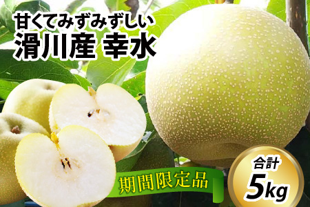 【先行予約】梨（幸水）※2026年8月下旬以降順次発送予定  / フルーツ 果物 くだもの なし 滑川市 新山果樹園 [A-014001]