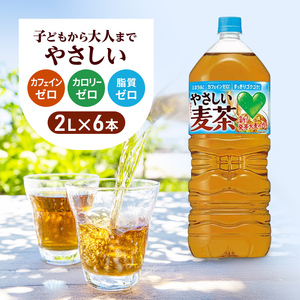 やさしい麦茶 2L 6本 セット 詰め合わせ お茶 サントリー GREEN DA・KA