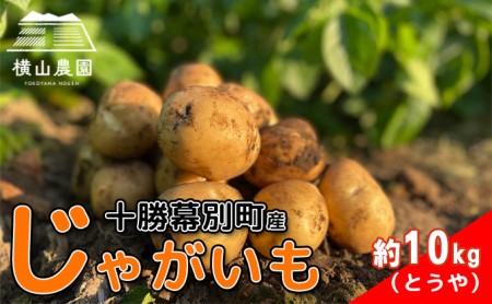 先行予約/2026年秋発送 北海道 十勝 幕別産 じゃがいも とうや 約10kg 【横山農園】 野菜 根菜 食材 煮崩れしにくい サラダ 煮込み料理 肉じゃが カレー シチュー 北海道のジャガイモ 