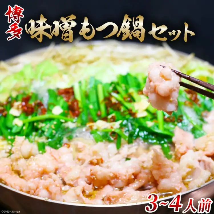 博多味噌もつ鍋 3～4人前 セット ちゃんぽん麺付 / MEAT PLUS / 福岡県 筑紫野市 [21760372]