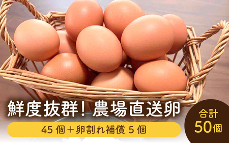 鮮度抜群！農場直送「卵」50個（45個 ＋ 卵割れ補償 5個）