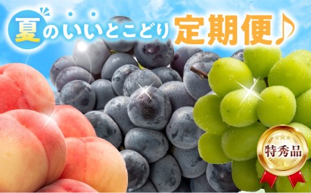 【特秀品!】夏のいいとこどり定期便♪