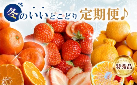 【特秀品!】冬のいいとこどり定期便♪