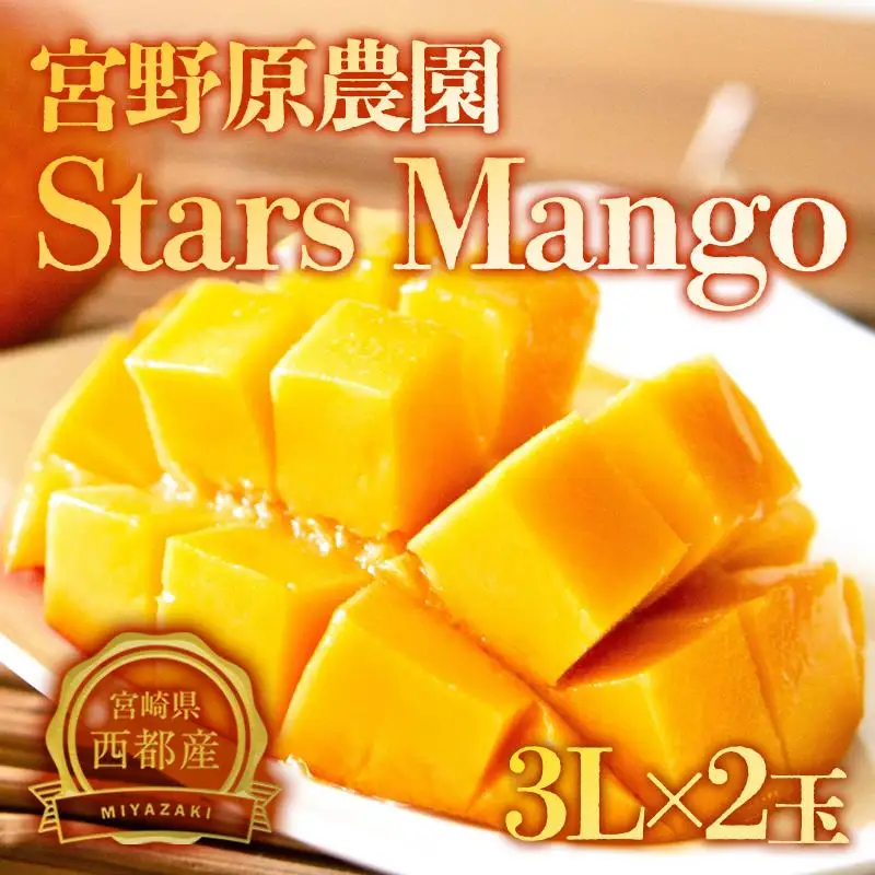 【先行予約】糖度13度以上　宮野原農園 スターズマンゴー3Lサイズ2個 完熟マンゴー 生産者直送＜67-2a＞2026年発送