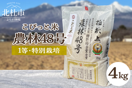 【令和7年度米】こぴっと米【農林48号】4kg　1等特別栽培 100％ 米 精米 よんぱち 幻のお米 北杜市産 お米  [h020]