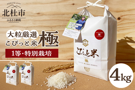【令和7年度米】こぴっと米【極】4kg 大粒厳選・1等特別栽培米 100％ 米 精米 令和7年産 北杜市産 お米  八ヶ岳 [h020]