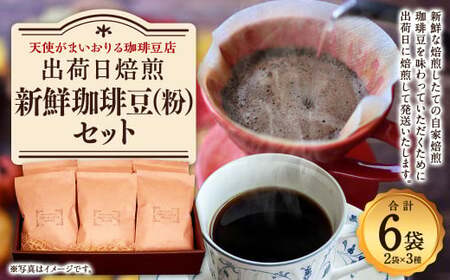 出荷日焙煎 『 新鮮 珈琲豆 (粉に挽いて) 』3種 6袋 コーヒー