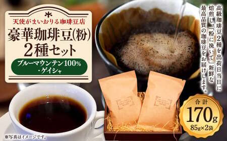 豪華珈琲豆 (粉に挽いて) 2種 ブルーマウンテン100％ ゲイシャ 計2袋
