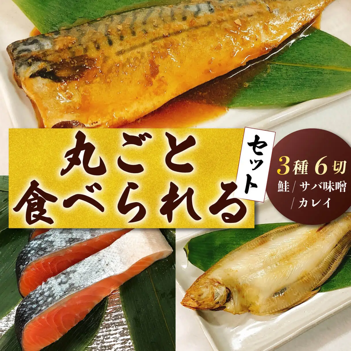 丸ごと食べられる鮭 サバ カレイセット レトルト レトルト レトルト レトルト レトルト レトルト I44_04