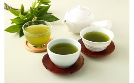 お茶好き必見！ 中山吉祥園 こだわりの八女茶ティーバック 3種セット( 玉露 ・ 八十八夜 ・ 水出し ) 緑茶 ティーパック
