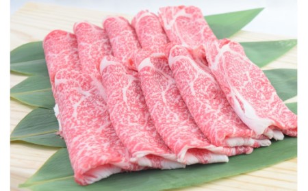 佐賀牛ローススライス すき焼き用 500g （500g×1パック） 149-J1798