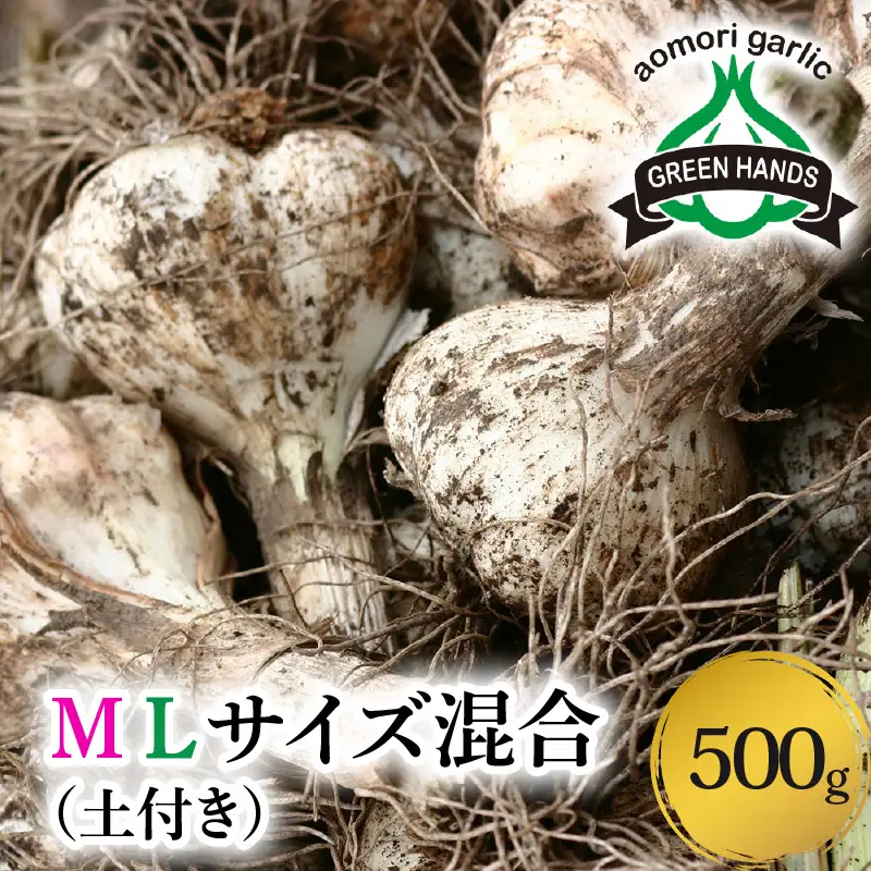 にんにく　生にんにく500gＭＬサイズ混合土付2026年6月下旬～発送