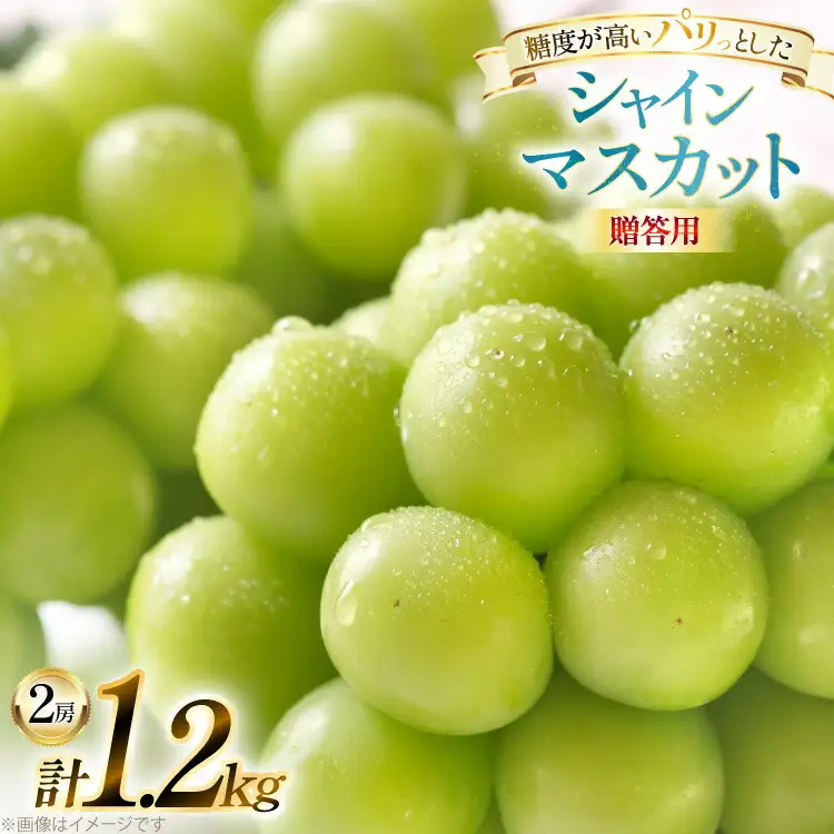 【期間限定発送】 シャインマスカット 贈答用 2房 1.2kg [田制農園 山形県 高畠町 tk06ayt230000]