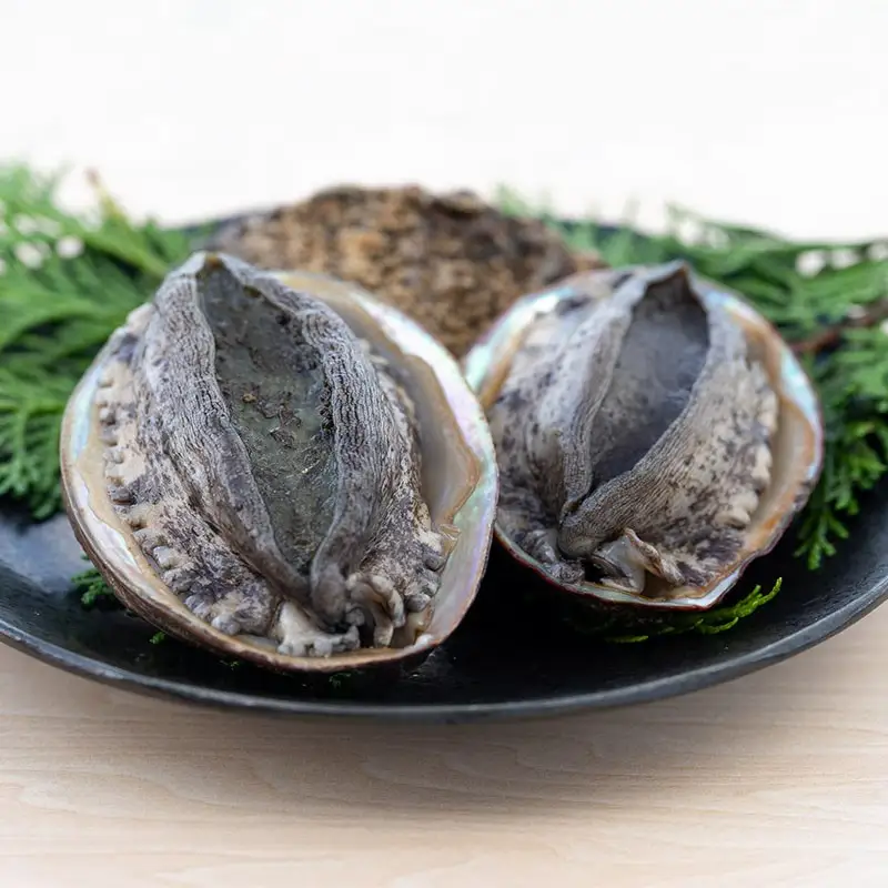【数量限定】活黒あわび（養殖）