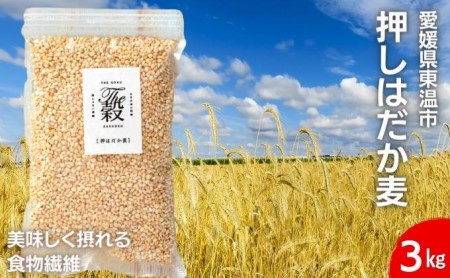 押しはだか麦 計3kg（1kg×3袋セット） 食物繊維豊富 食物繊維 食感 プチプチ あっさり 麦ごはん 食品 食べ物 ご飯 おにぎり お弁当 主食 毎日 炭水化物 国産 日本産 愛媛県産 東温市産 直送 産地直送 