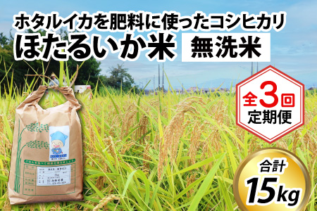 ほたるいか米（無洗米５kg）×3回 計15kg【3ヶ月定期便】[C-021007]
