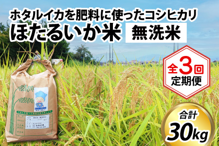 ほたるいか米　米定期便 コシヒカリ10kg 3か月 無洗米10kg [D-021002]