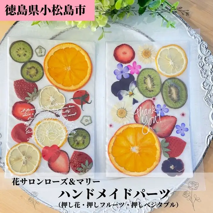 ハンドメイドパーツ 2種 セット押し 花 フラワー ドライフラワー ドライフルーツ ベジタブル
