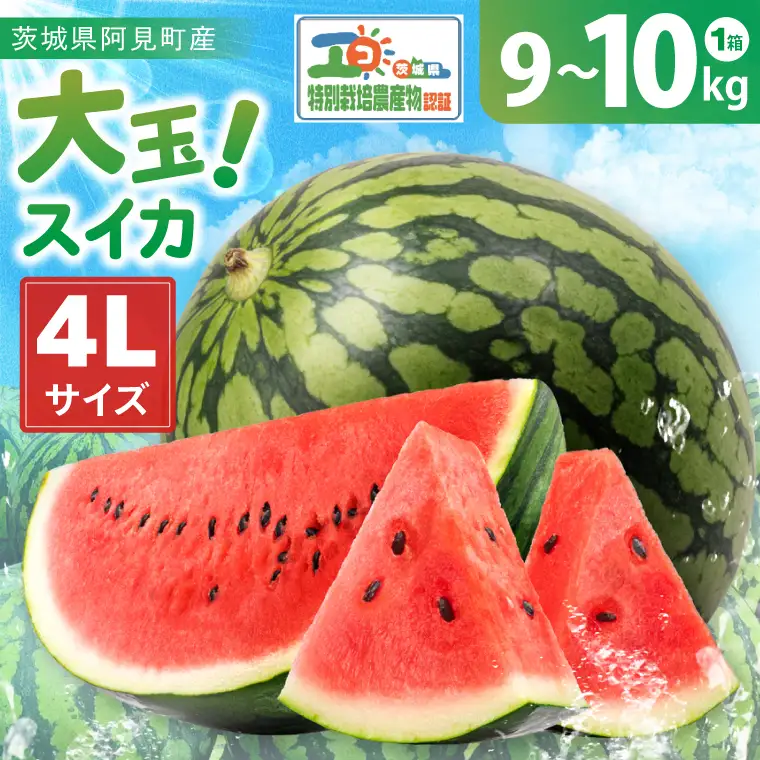先行予約 大玉スイカ 4L サイズ 茨城県産 茨城県 阿見町 1玉 すいか 西瓜 果物 くだもの フルーツ 国産 甘い 大玉 スイカ 通販 お取り寄せ シャリ感 みずみずしい 完熟 高糖度 大きい こだわり栽培 特別栽培 旬 産地直送 数量限定 期間限定 送料無料 【先行予約｜2026年6月上旬より順次発送】（04-26）
