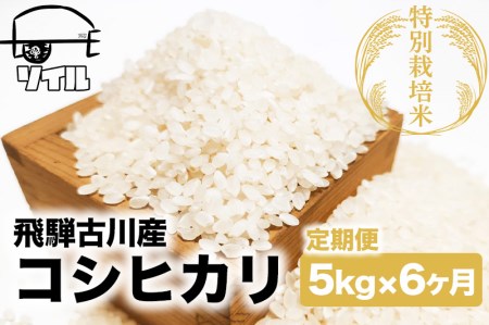 【米 定期便】 令和8年産 コシヒカリ白米 5kg×6か月 / 米 こしひかり ソイル 