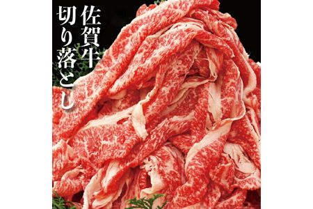 佐賀牛800g 切落し【plan】[FBF002]