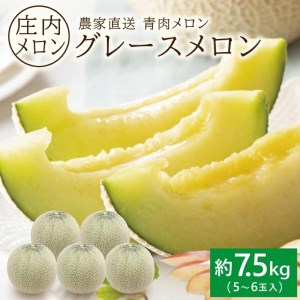 SA2872　庄内メロン/青肉　グレース　約7.5kg(5～6玉入)