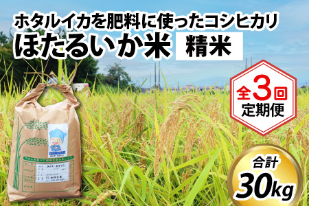 ほたるいか米（精米10kg）×3回 計30kg【3ヶ月定期便】 [D-021004]