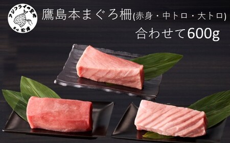 鷹島産本まぐろ柵(赤身・中トロ・大トロ) 合わせて600g( マグロ まぐろ 赤身 中トロ 大トロ 本まぐろ 手軽 おつまみ 柵 流水解凍 )【C8-023】