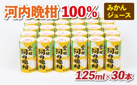 河内晩柑 ジュース 30本 愛工房 河内晩柑 H020-034004