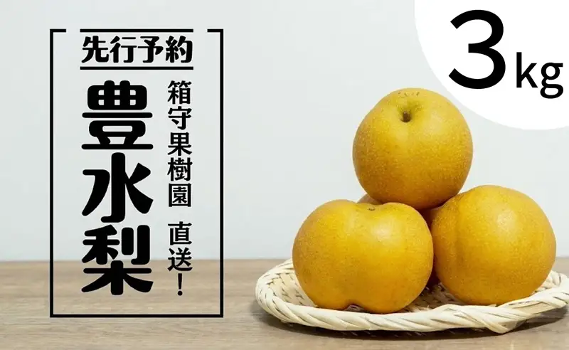 【 先行予約 】箱守果樹園 直送！ 豊水梨 3kg