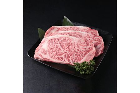 佐賀牛サーロインステーキ750g(250g×3枚)【plan】[FBF004]