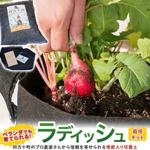 ベランダでも育てられるラディッシュ栽培キット ／Fis-B08 趣味 ガーデニング 家庭菜園 園芸 ベランダ菜園 プランター 種 種子 プロ仕様の肥料 培養土 サラダに